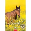 Kép 1/5 - Naptár, fali, CSG "Lovak"
