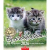 Kép 1/5 - Naptár, fali, CSG "Én és a barátaim"
