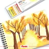 Kép 2/5 - Olajpasztell kréta, PENTEL, "Arts", 25 különböző szín