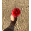 Kép 2/2 - Szappan Rózsaszál - Forever Love - Piros - Szerelmes Ajándék - Valentin napi Ajándék