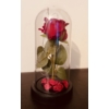 Kép 3/3 - Rózsa üvegburában led világítással piros színben - Valentin napi ajándék - Szerelmes ajándék