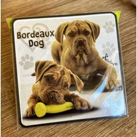 Hűtőmágnes-Bordeaux dog