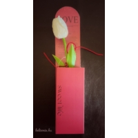 Fehér  színű szappan tulipán - Szerelmes Ajándék - Ajándék Nőknek