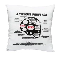 Tipikus férfi agy párna - Vicces ajándék