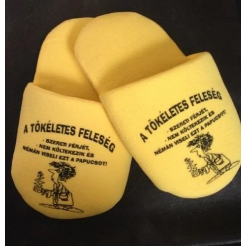 Papucs-Tökéletes feleség