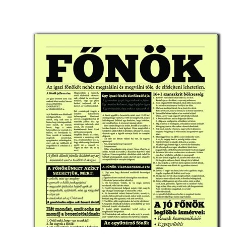 Újság-Főnök