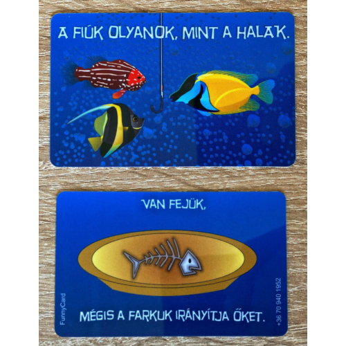 Kártya - Fiúk, halak