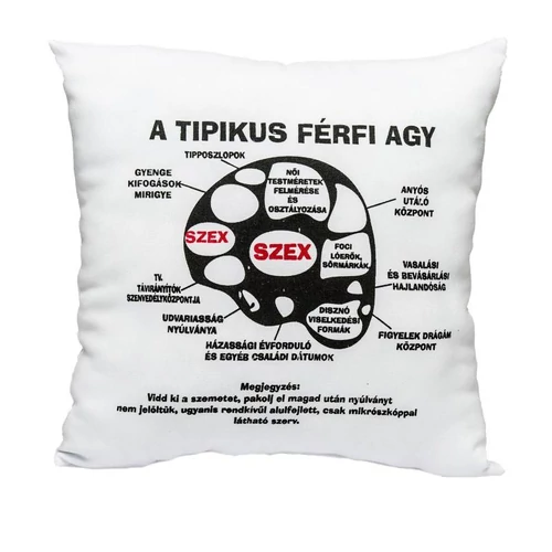 Tipikus férfi agy párna - Vicces ajándék